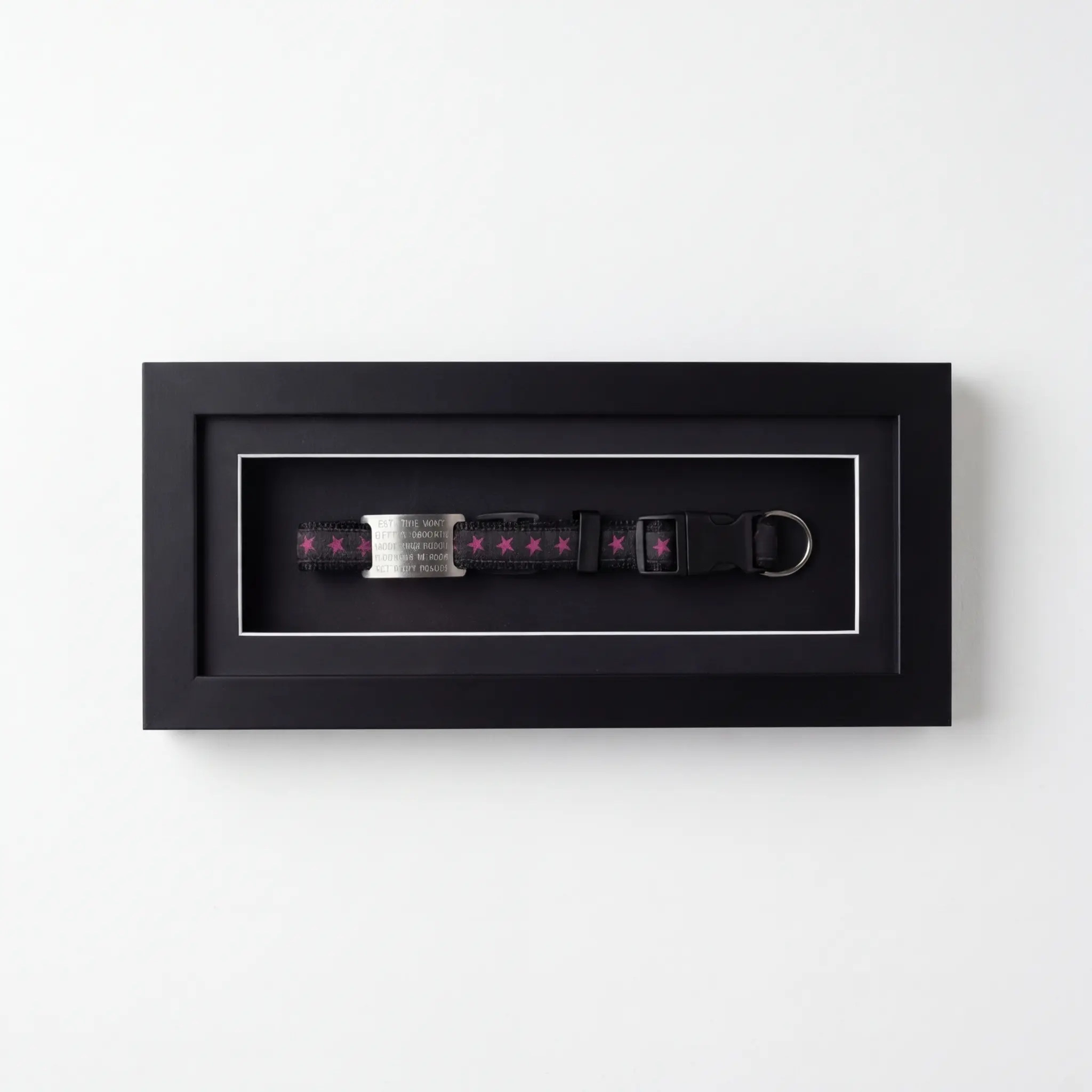 A pet collar and engraved tag mounted in a black deep box frame